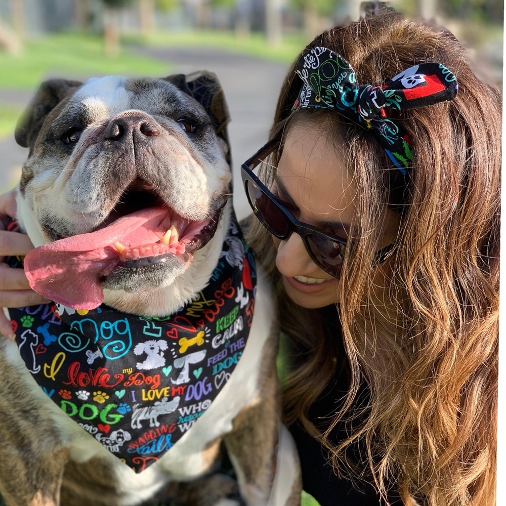 XL reversible dog bandana and matching tie band
